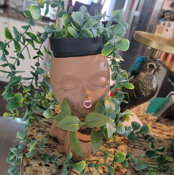 Meet your Posher, Teabee - Picture 1 of 1